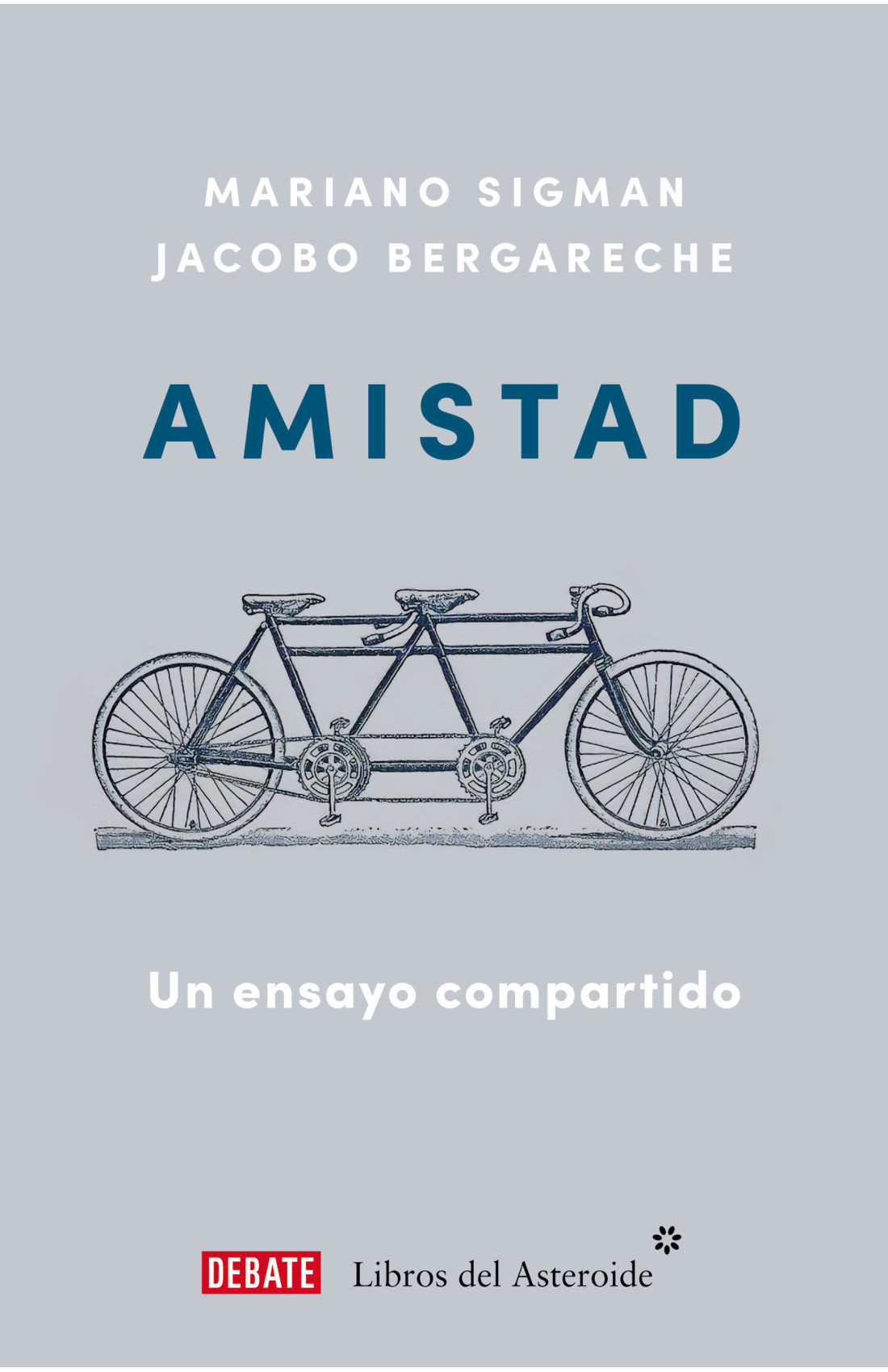 AMISTAD - UN ENSAYO COMPARTIDO