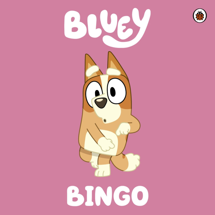 BLUEY: BINGO - CARTONE