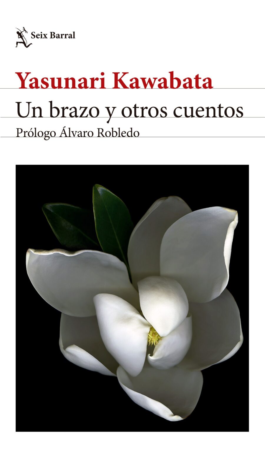 UN BRAZO Y OTROS CUENTOS - ED. 2024