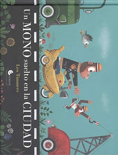 UN MONO SUELTO EN LA CIUDAD