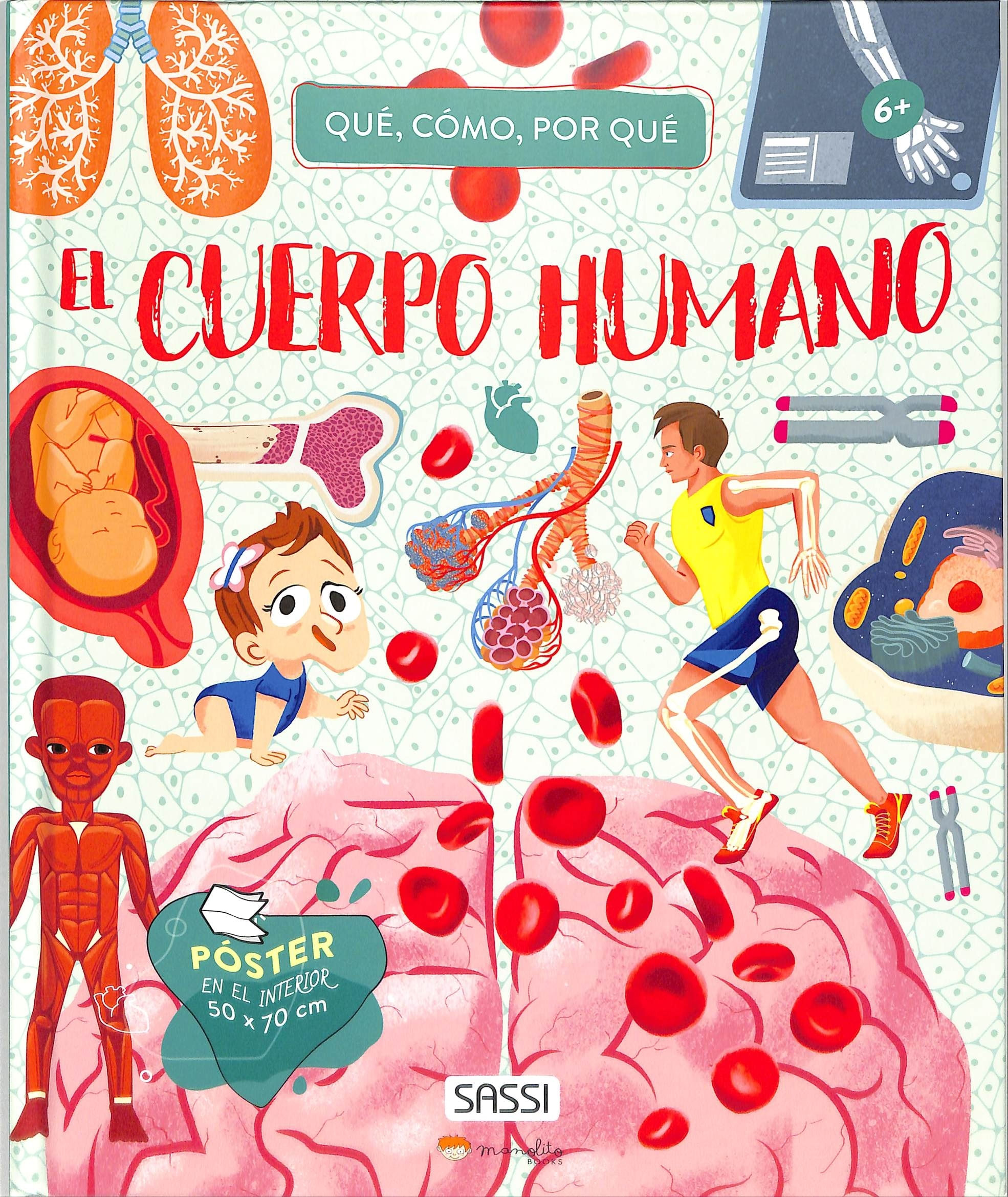 CUERPO HUMANO - QUE COMO PORQUE