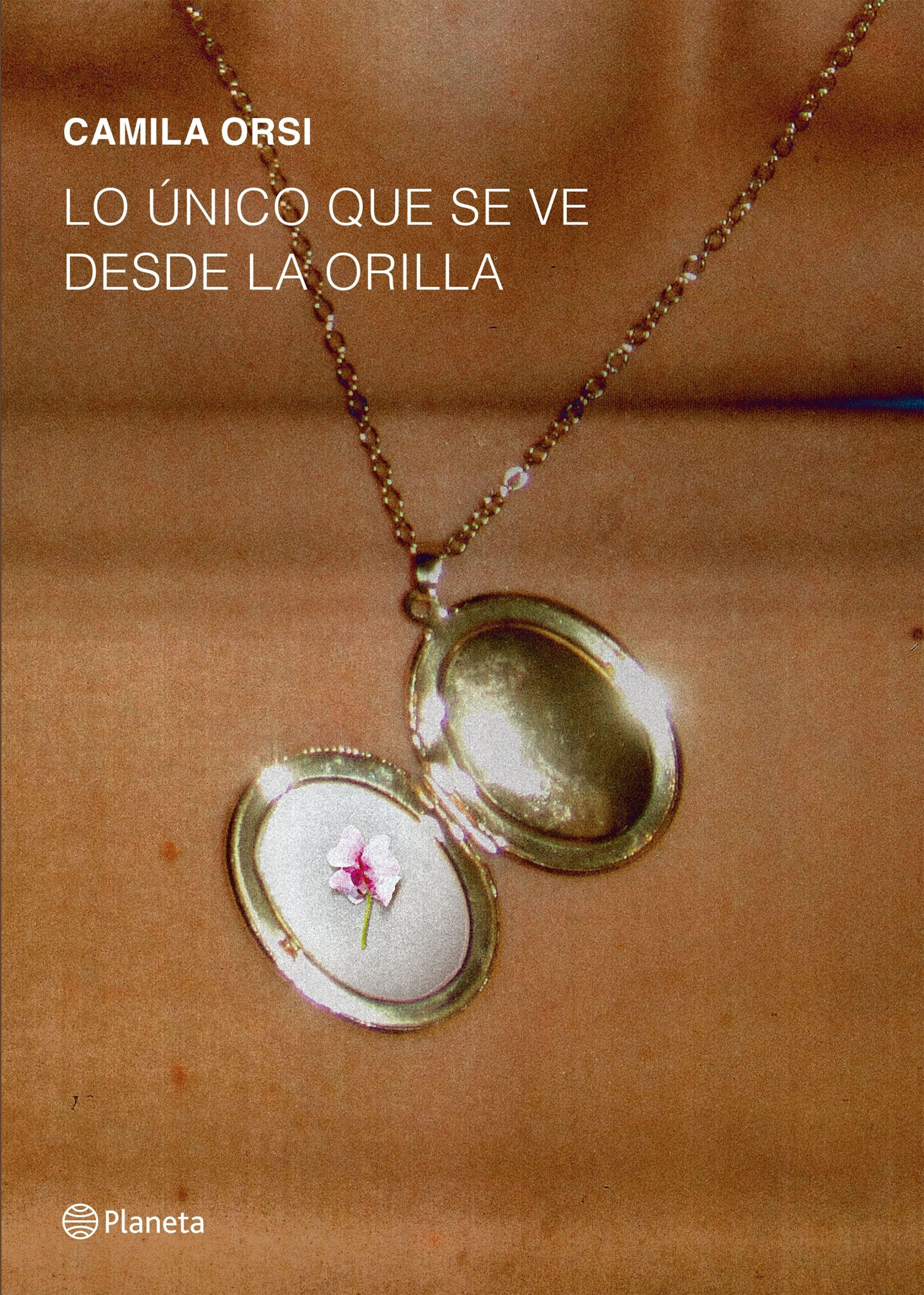 LO UNICO QUE SE VE DESDE LA ORILLA