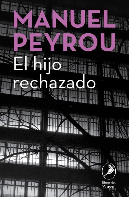 HIJO RECHAZADO, EL
