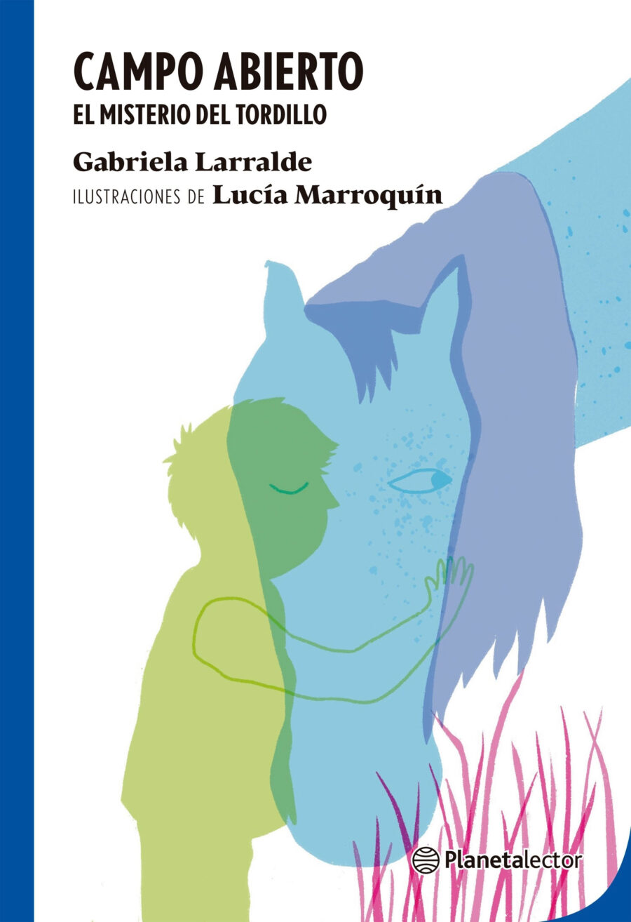 CAMPO ABIERTO. EL MISTERIO DE TORDILLO - PLANETALE