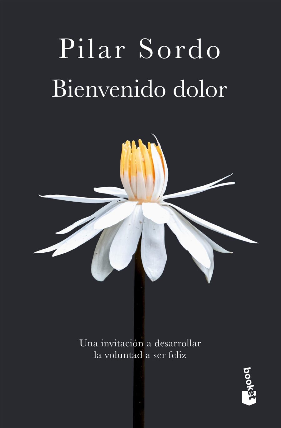 BIENVENIDO DOLOR - BOOKET