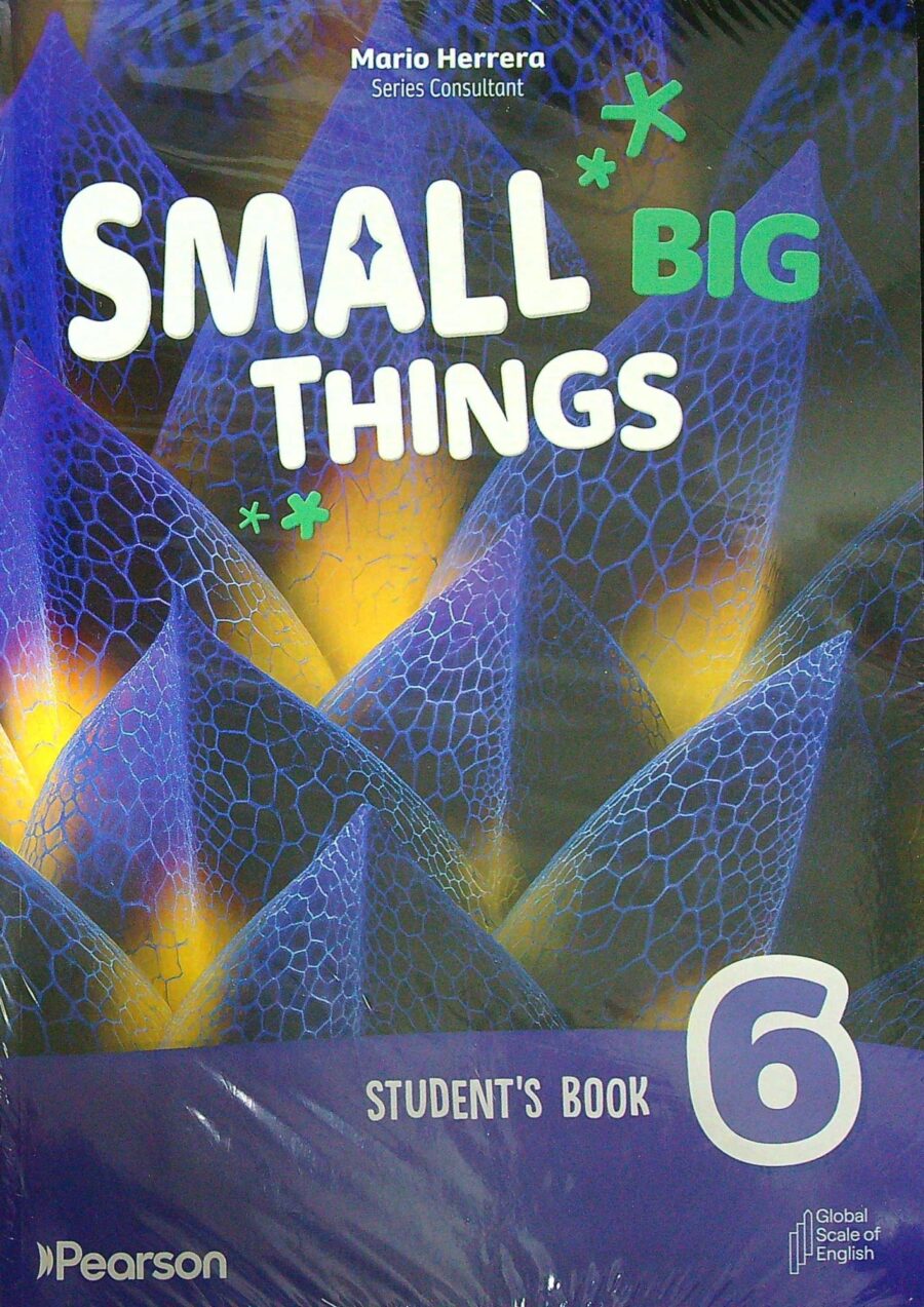 SMALL BIG THINGS 6 - SB + E-BOOK + ONLINE PRAC. +