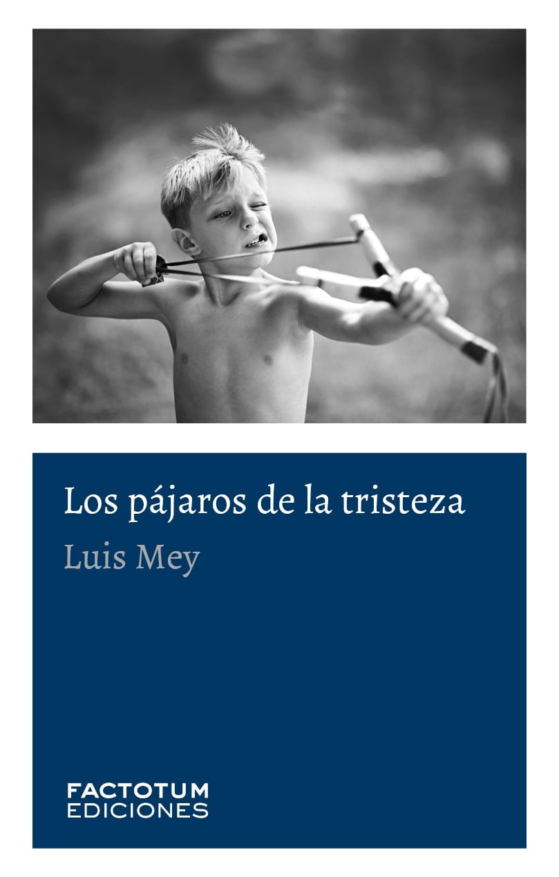 PAJAROS DE LA TRISTEZA, LOS