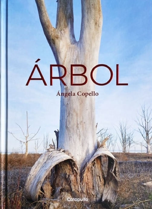 ARBOL - TD