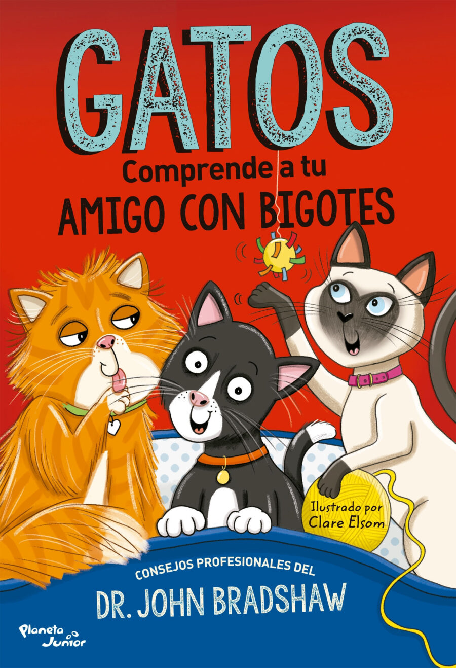 GATOS - COMPRENDE A TU AMIGO CON BIGOTES