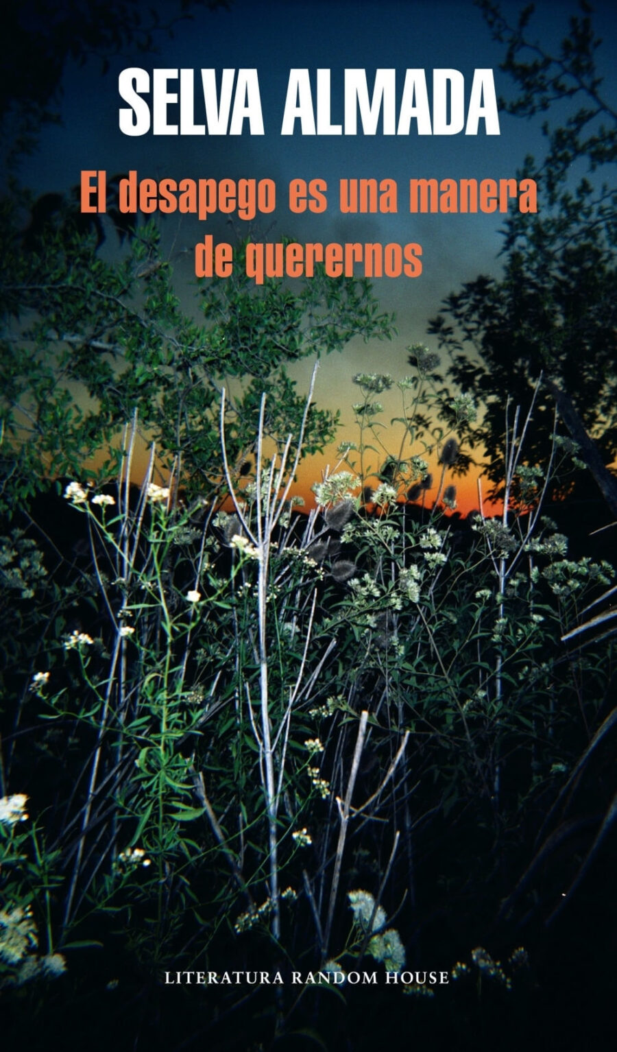 DESAPEGO ES UNA MANERA DE QUERERNOS SUDAMERICANA