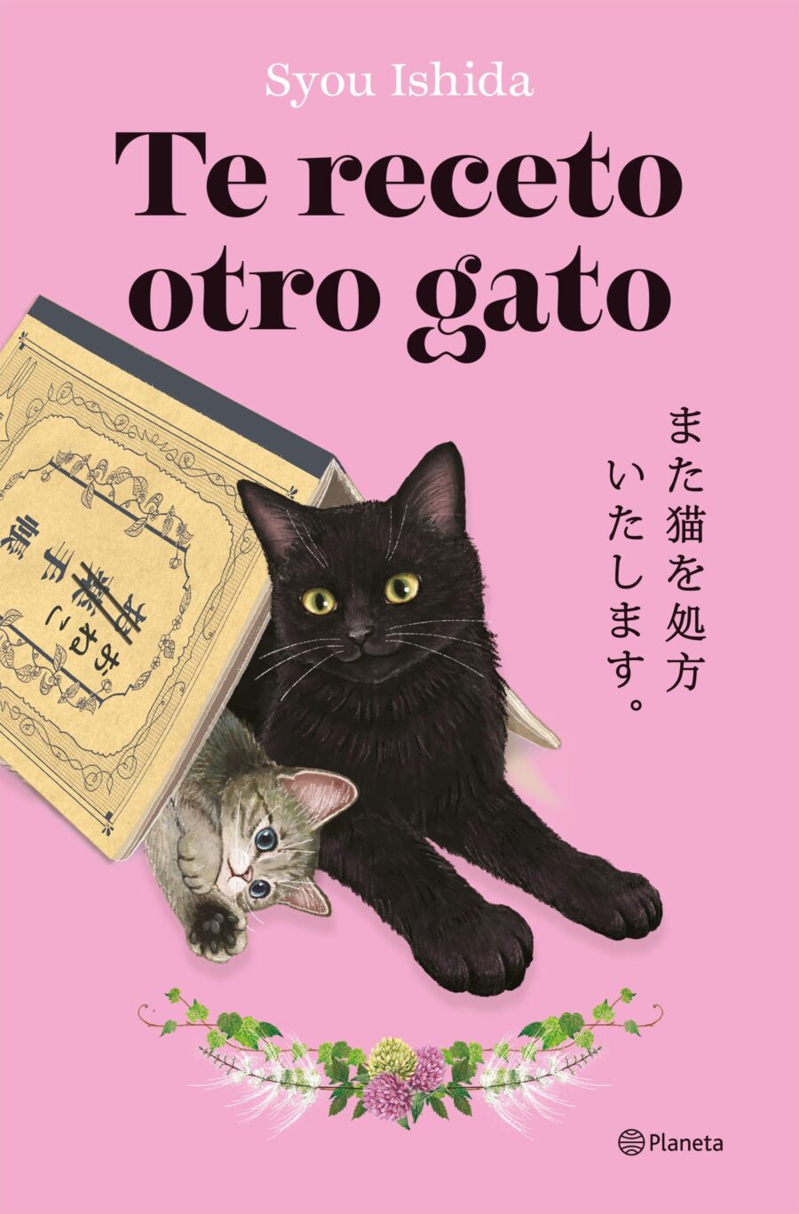 TE RECETO OTRO GATO
