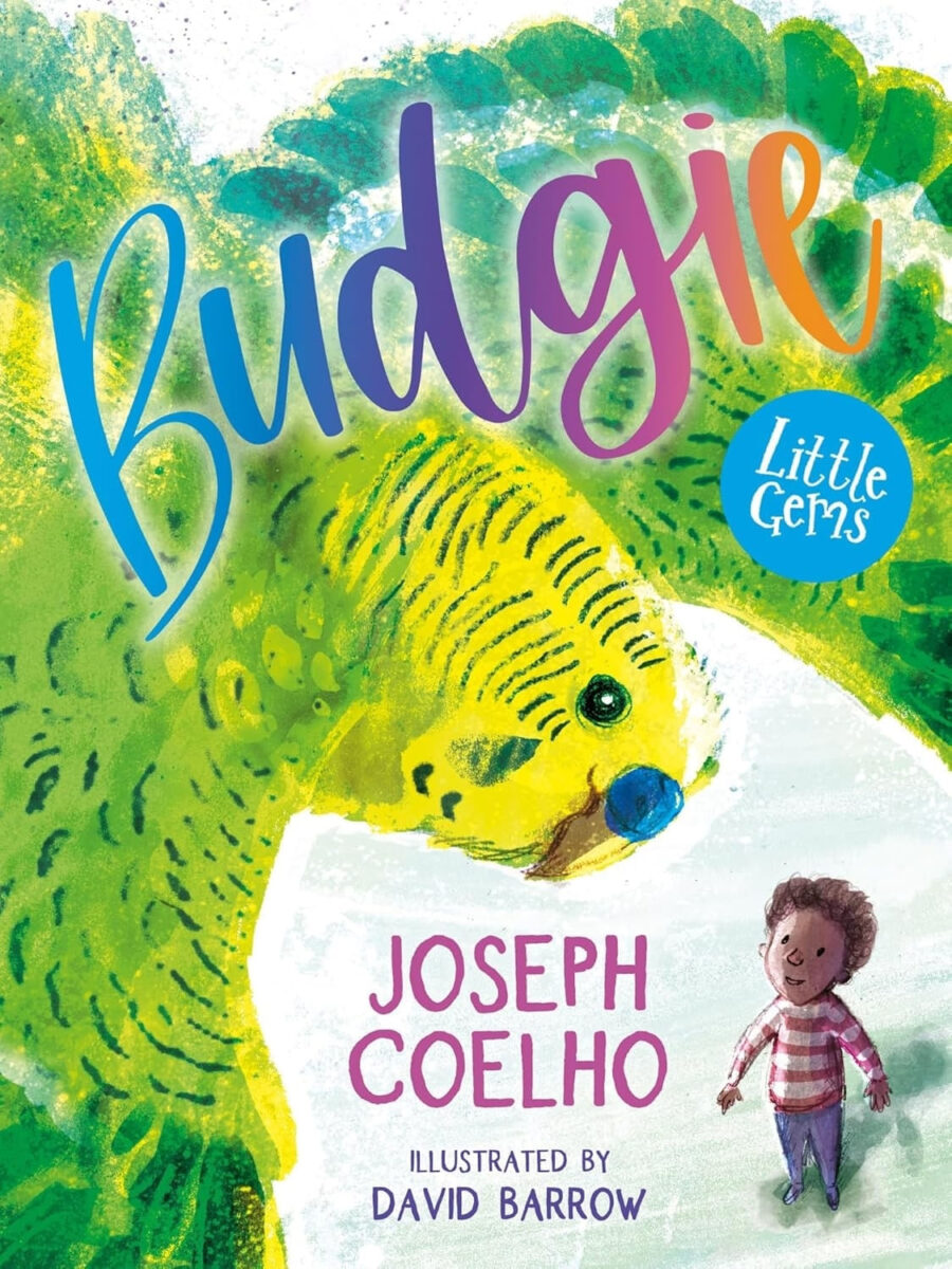 LITTLE GEMS: BUDGIE - Dyslexia Friendly