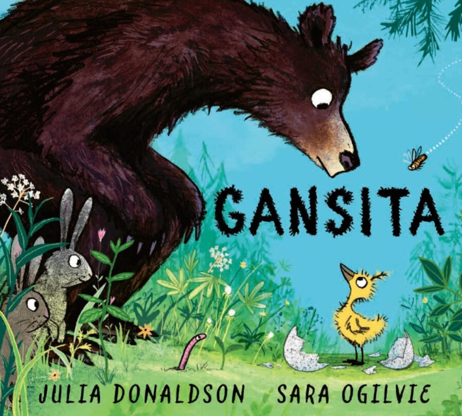 GANSITA - TD