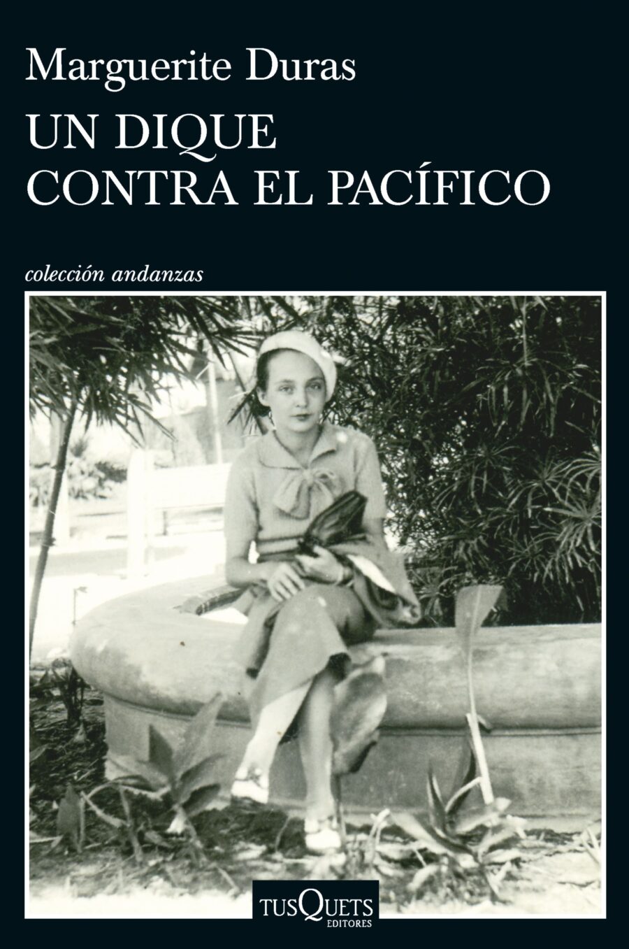 UN DIQUE CONTRA EL PACIFICO N/E
